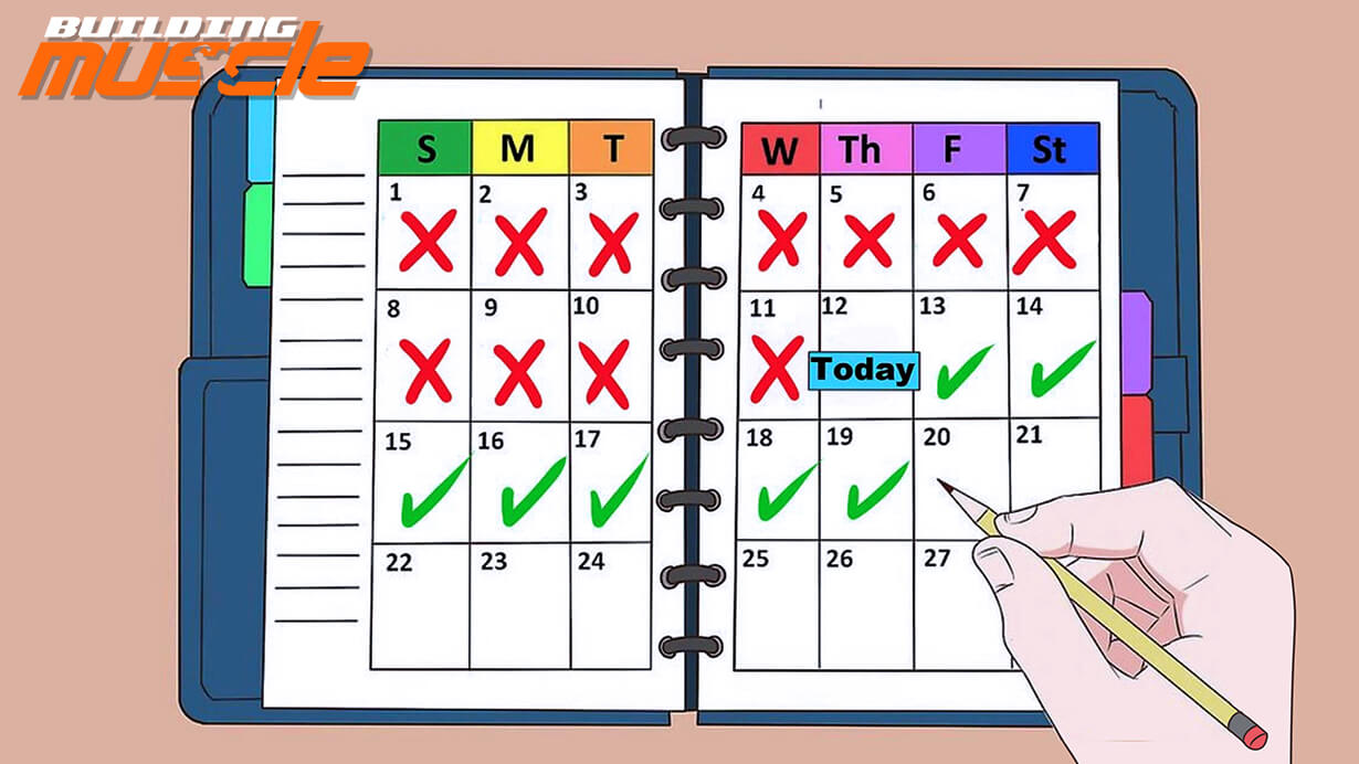 Free Time Periodization