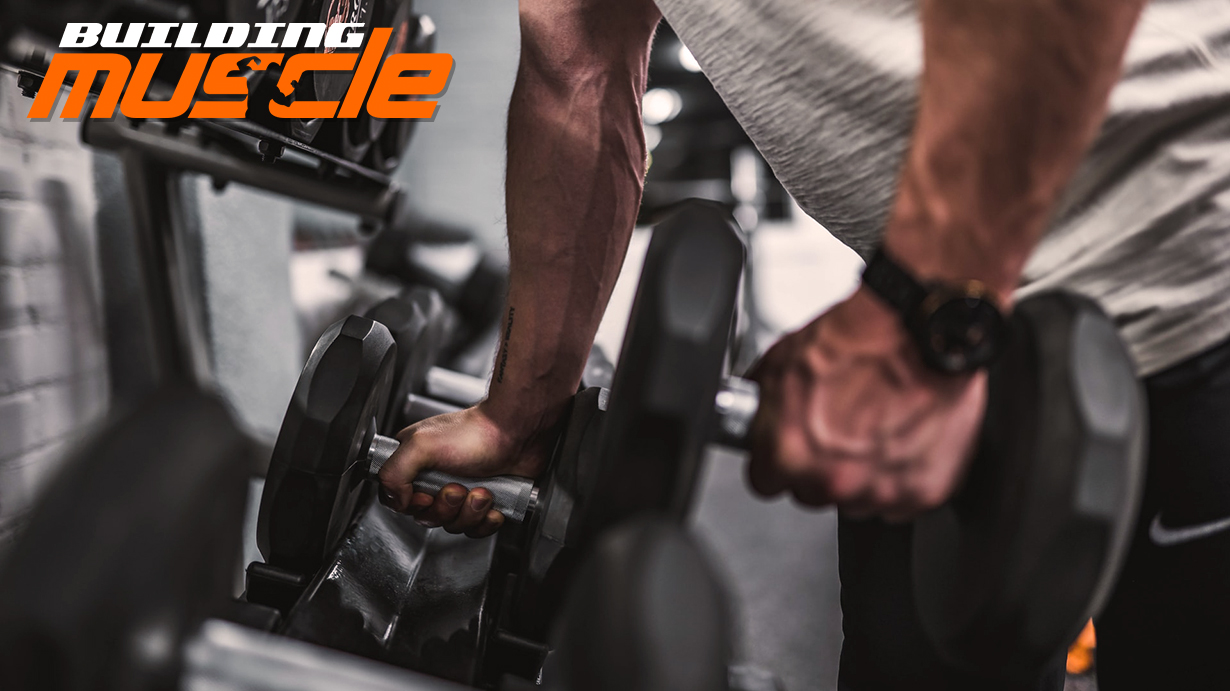 Specialization in Body Parts in Bodybuilding