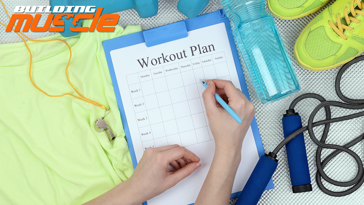 Workout Diary in Bodybuilding