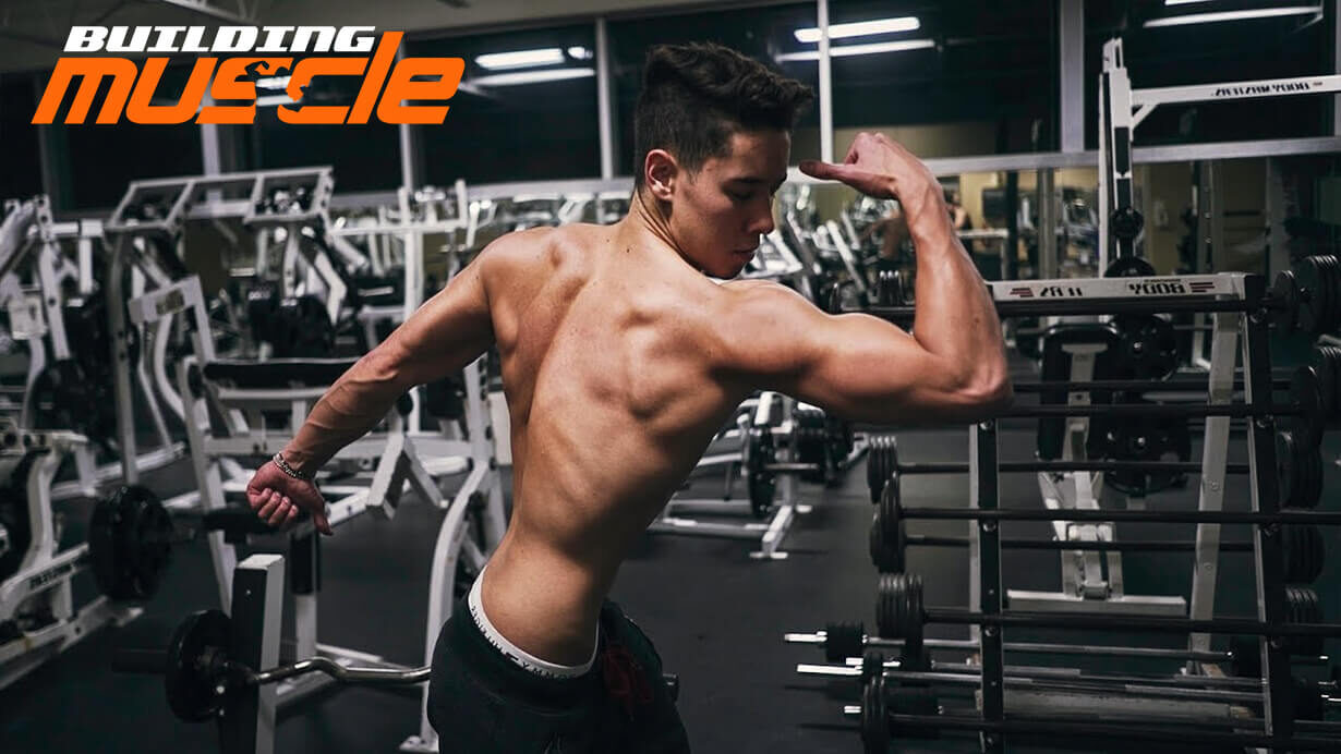 Bodybuilder