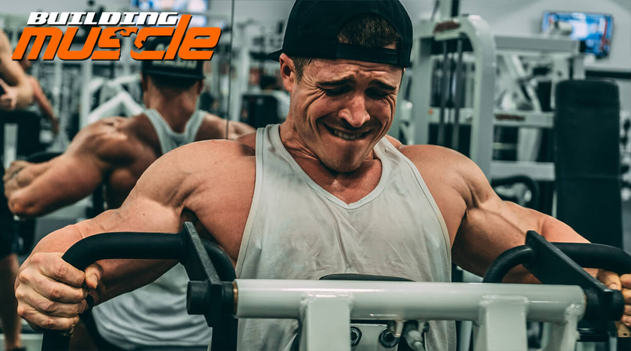 Bodybuilding Techniques