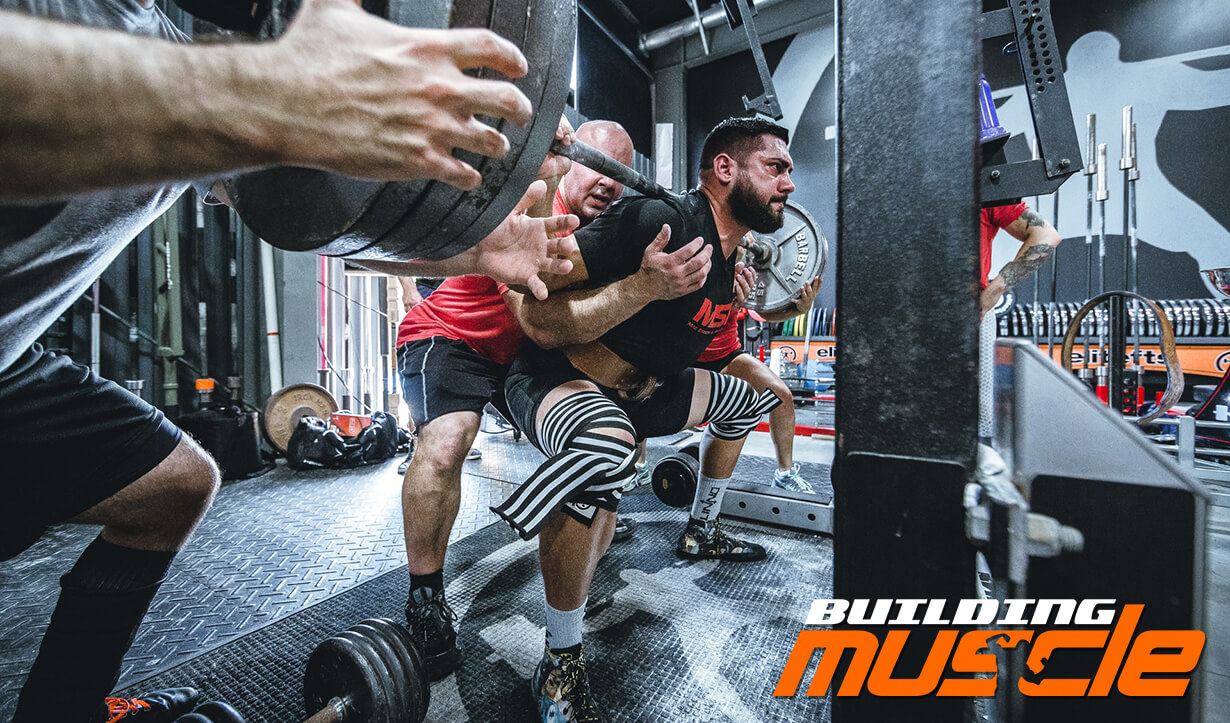 Professional Bodybuilding - at Home or in The Gym