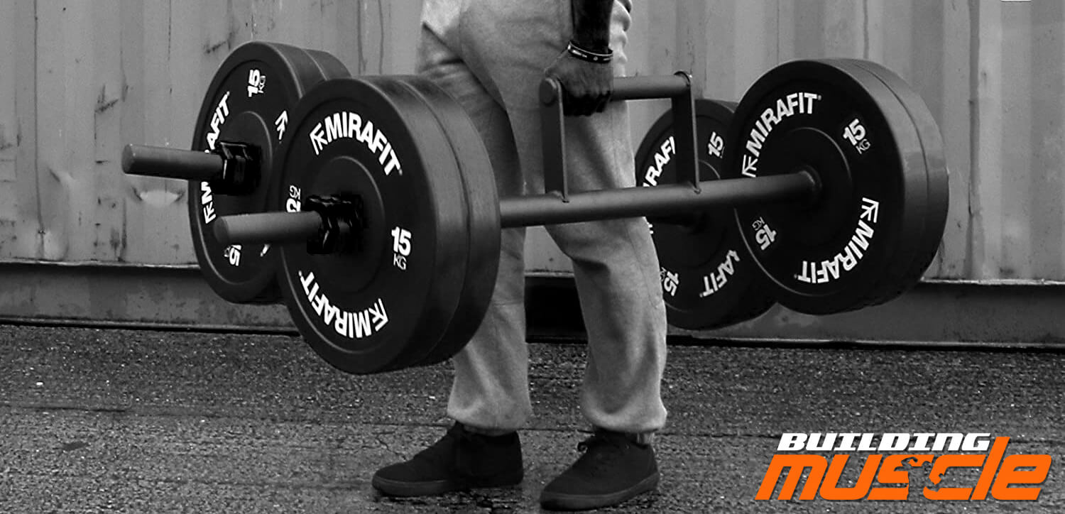 Farm Walk - Bodybuilding Exercise