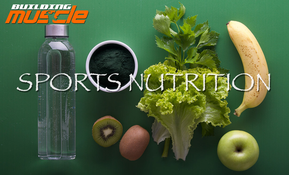 Sports Nutrition 