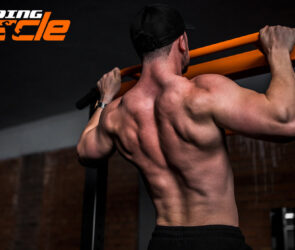 Five steps to building muscle without resorting to steroids