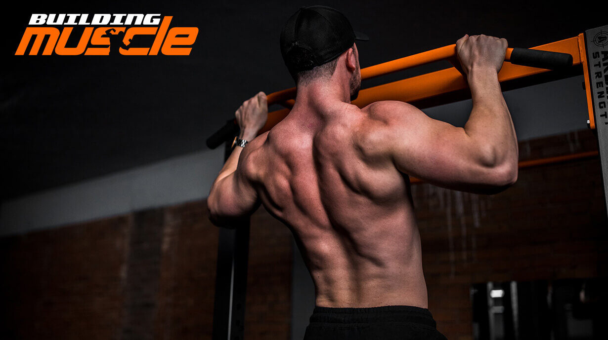 Five steps to building muscle without resorting to steroids