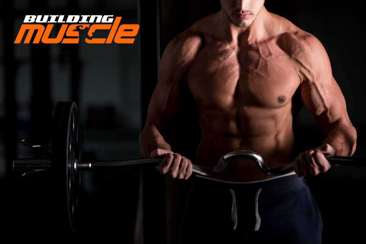 Growth hormone in bodybuilding