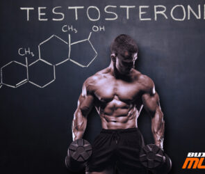 Lifelong testosterone optimization