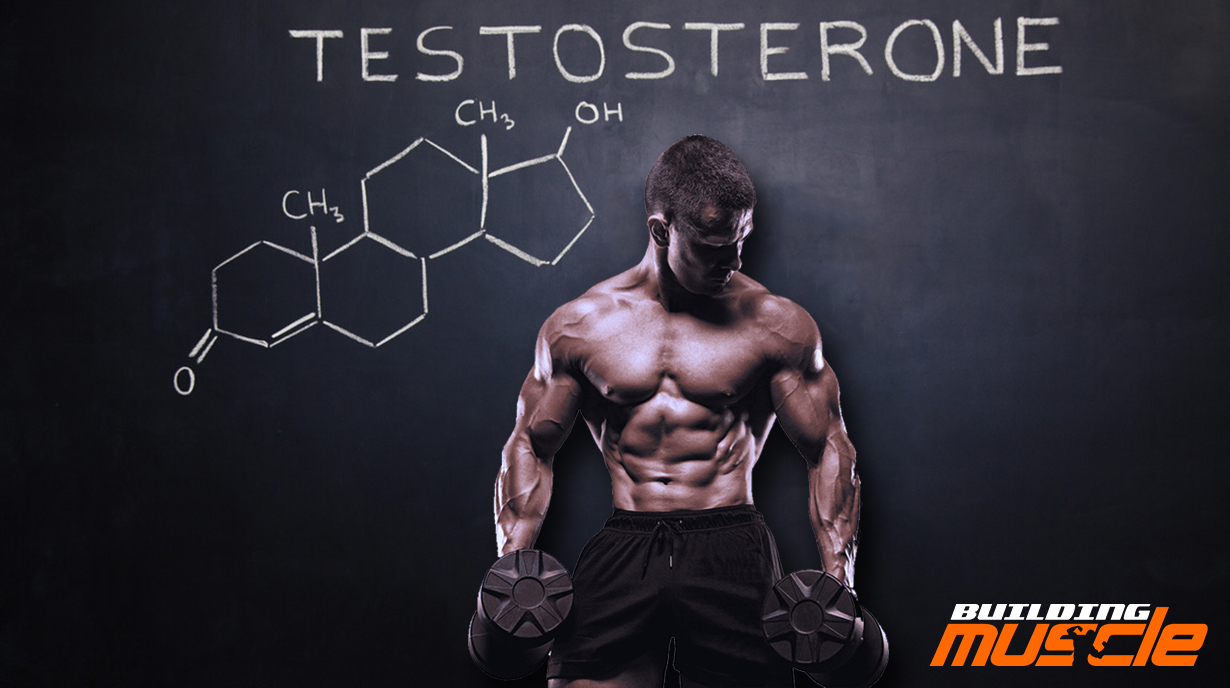 Lifelong testosterone optimization