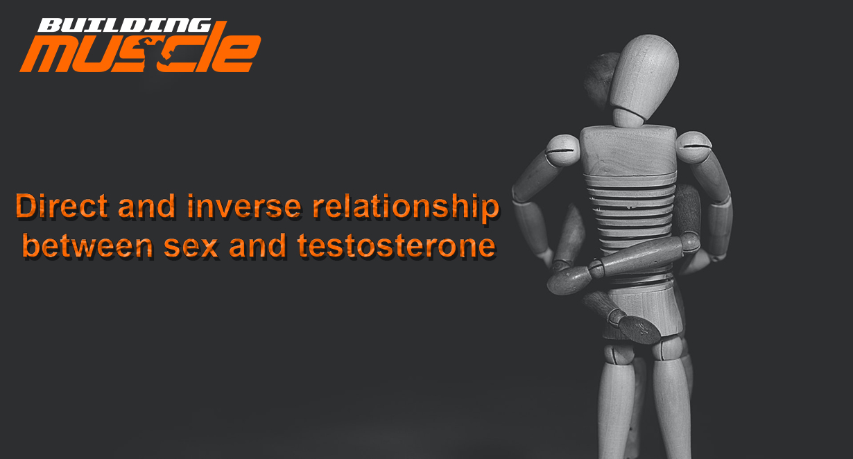 Regular Sex = Optimal Levels of Your Own Testosterone