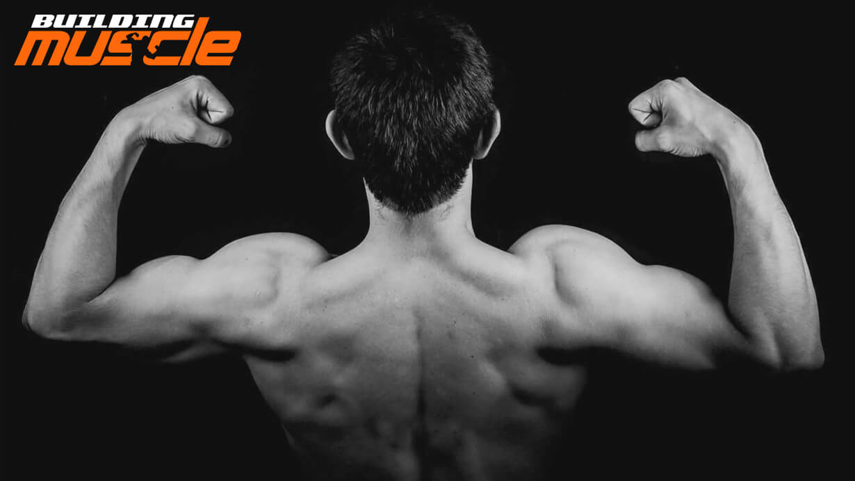 Testosterone is the Leading Hormone