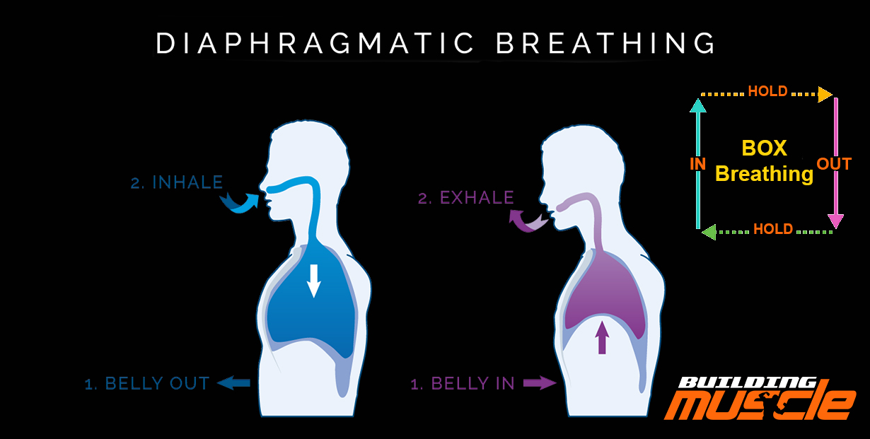 Diaphragmatic Breathing
