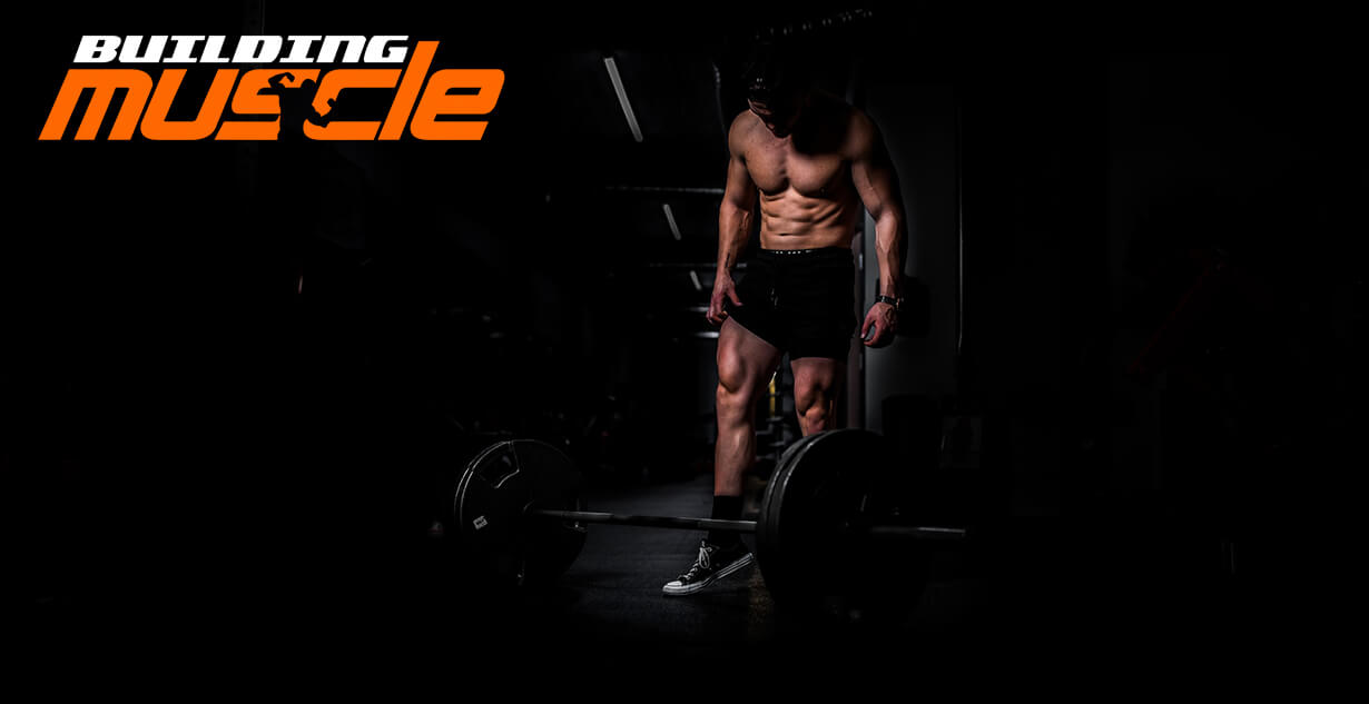 Night Training in Bodybuilding