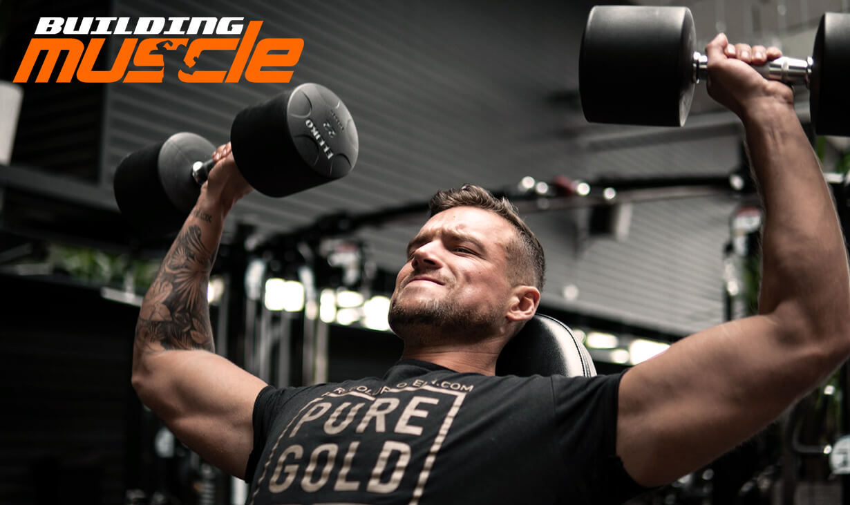 Basic Exercise - Dumbbell Press
