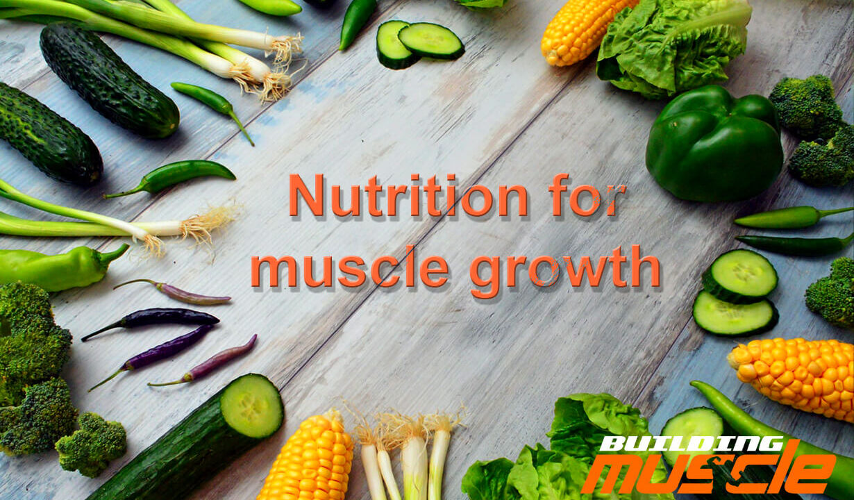 Nutrition for muscle growth