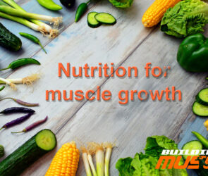 Nutrition for muscle growth