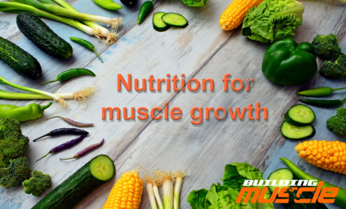 Nutrition for muscle growth