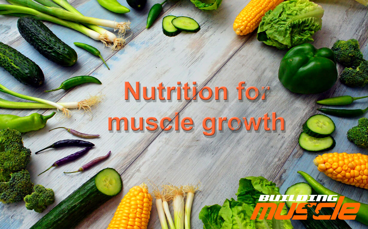 Nutrition for muscle growth