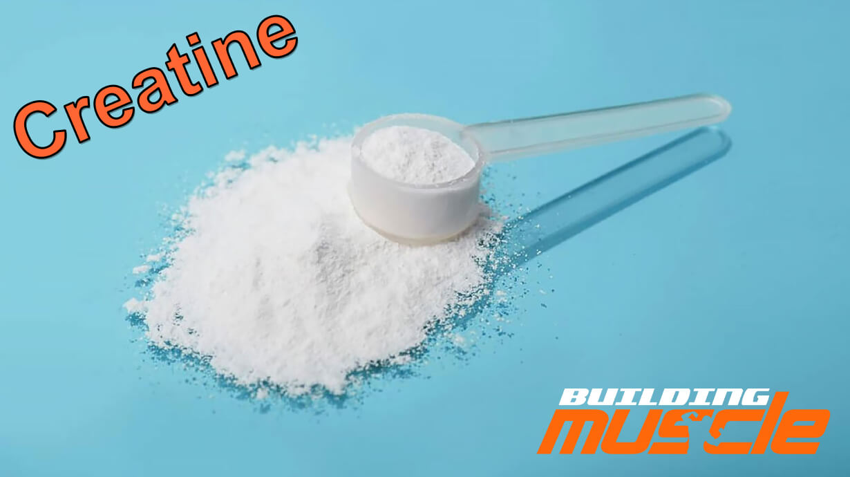 Creatine is the King of Supplements for Bodybuilders