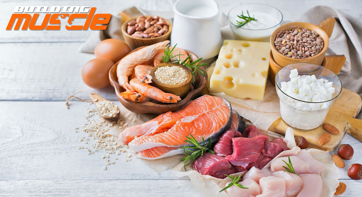 Protein Products