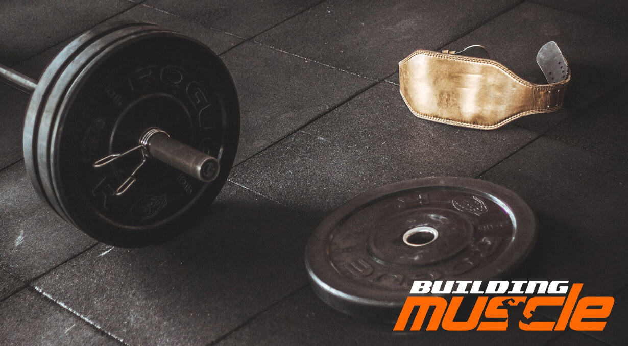 Properly Calculated Working Weight is a Prerequisite for Gaining Muscle Mass