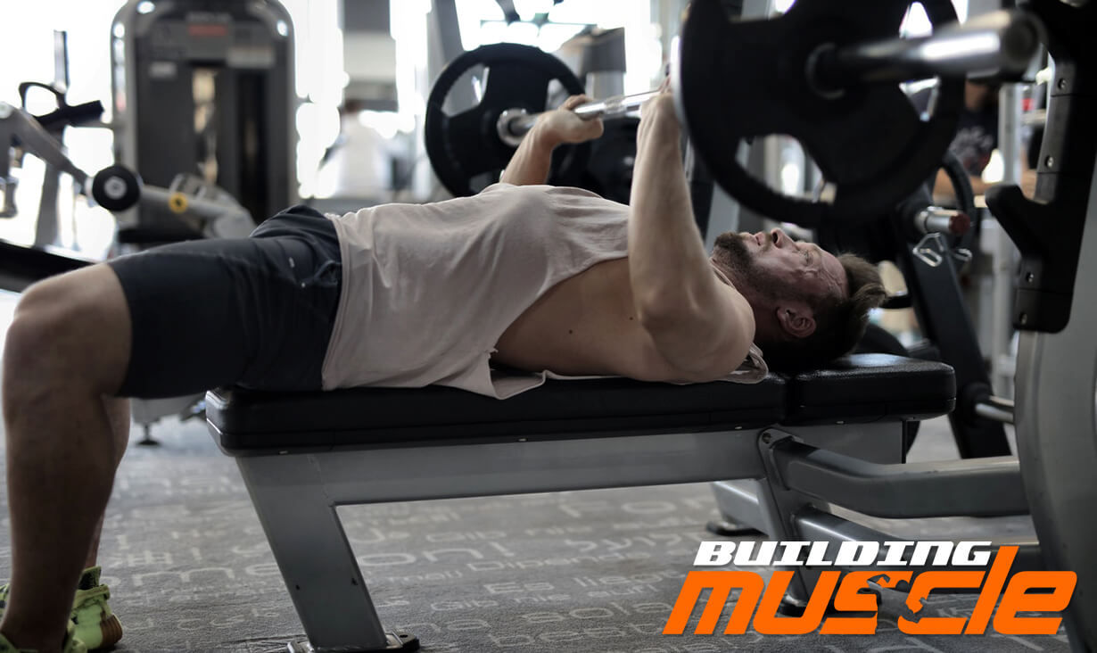 Calculation of Working Weights in Exercises