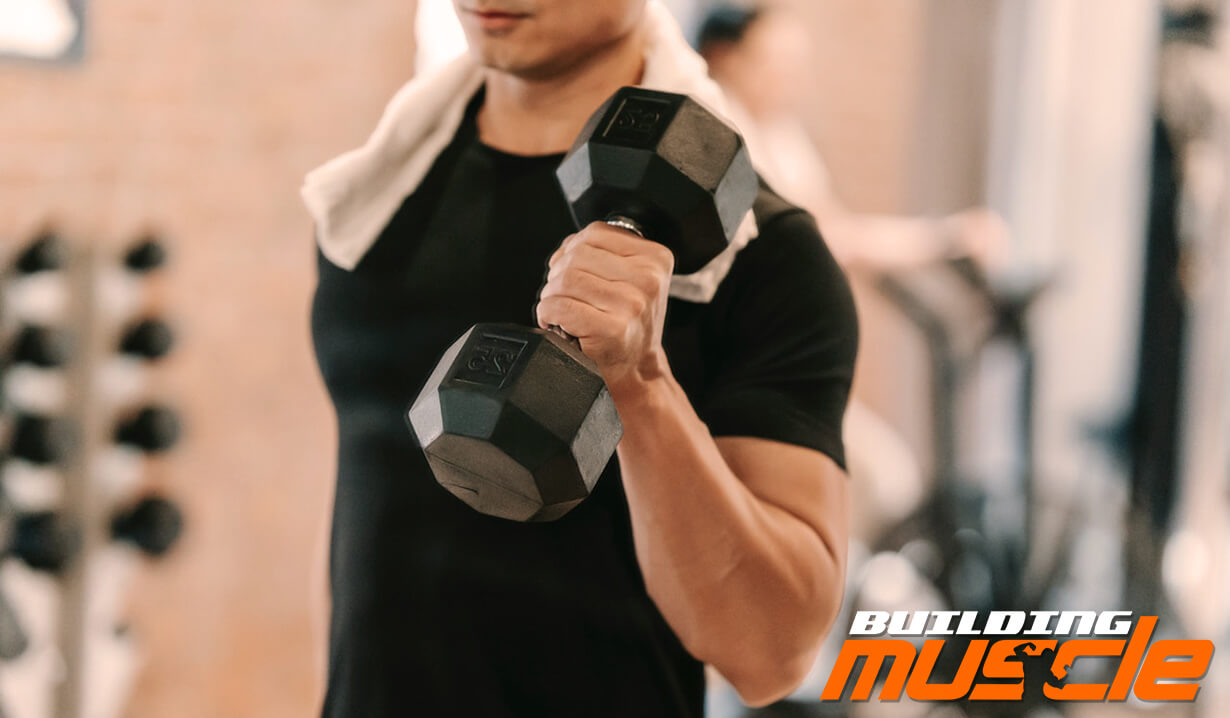 Calculation of Weight for Isolation Exercises