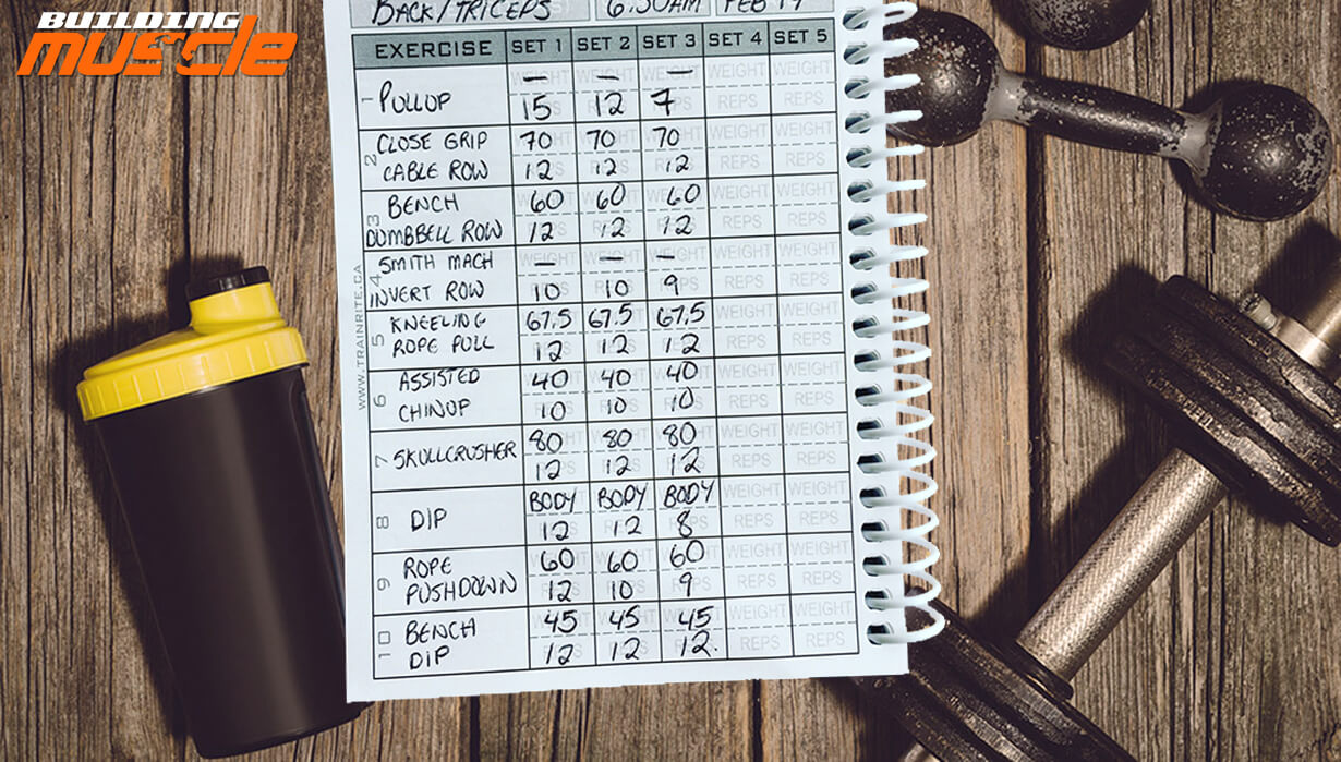 Training Diary