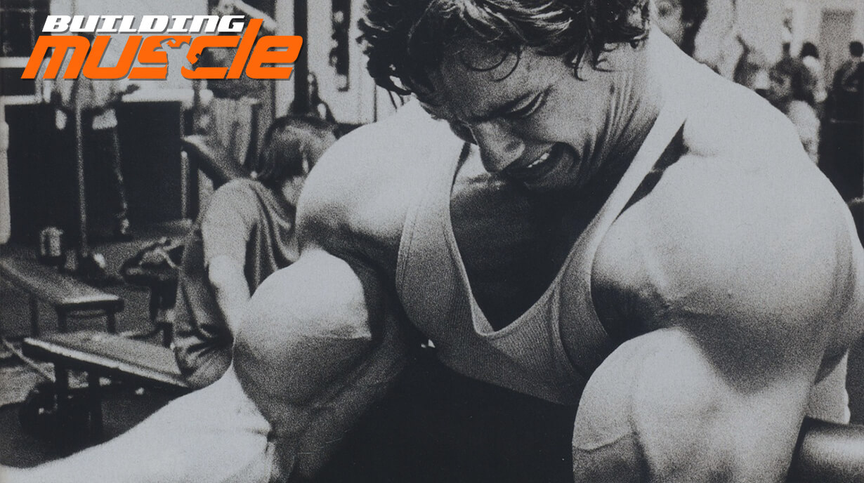Arnold Schwarzenegger’s Biceps