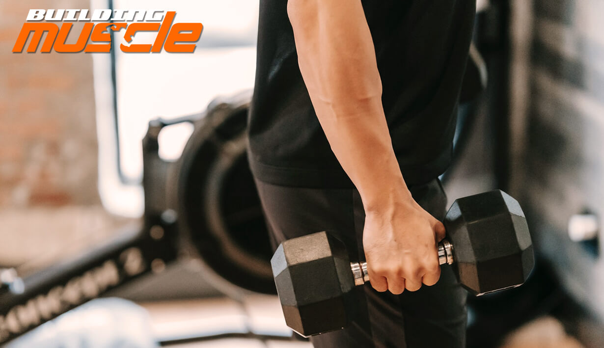 Raises at The Expense of The Forearms