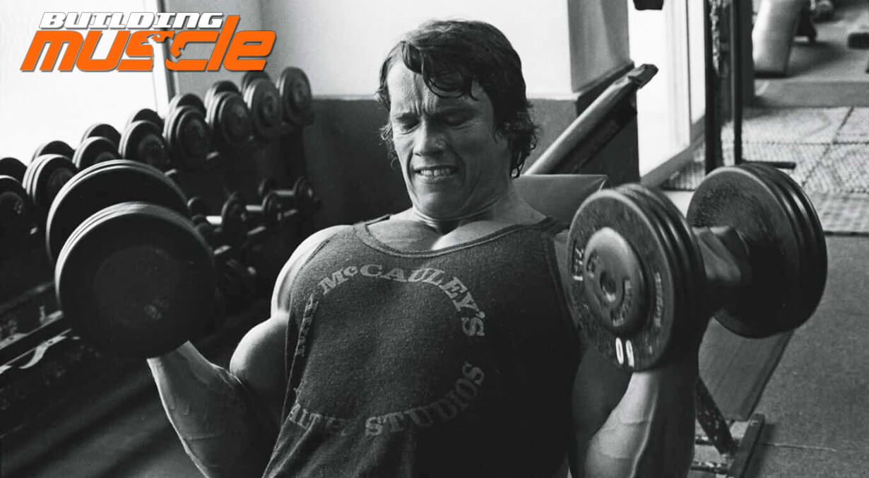 Features of Arnold's Workouts